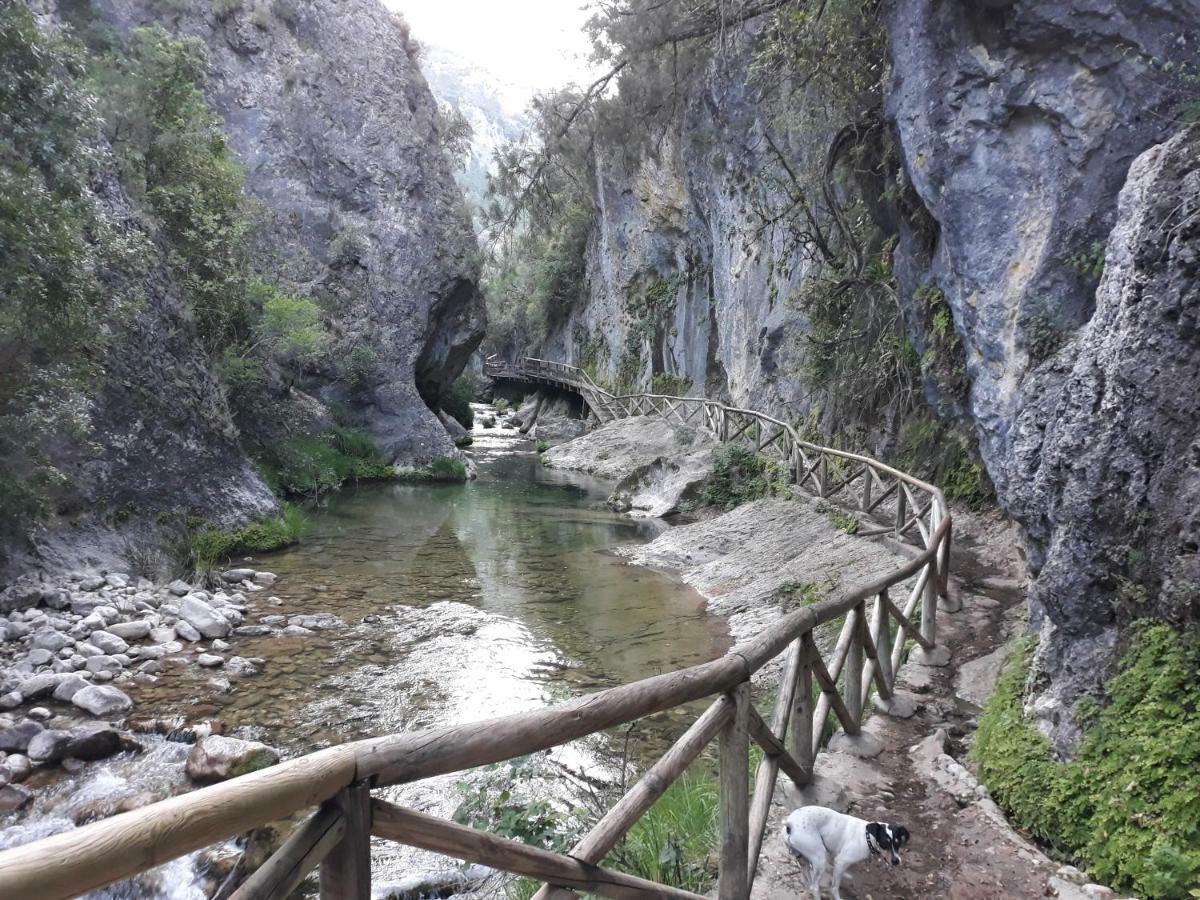 Apartamentos El Risquillo Arroyo Frio Kültér fotó