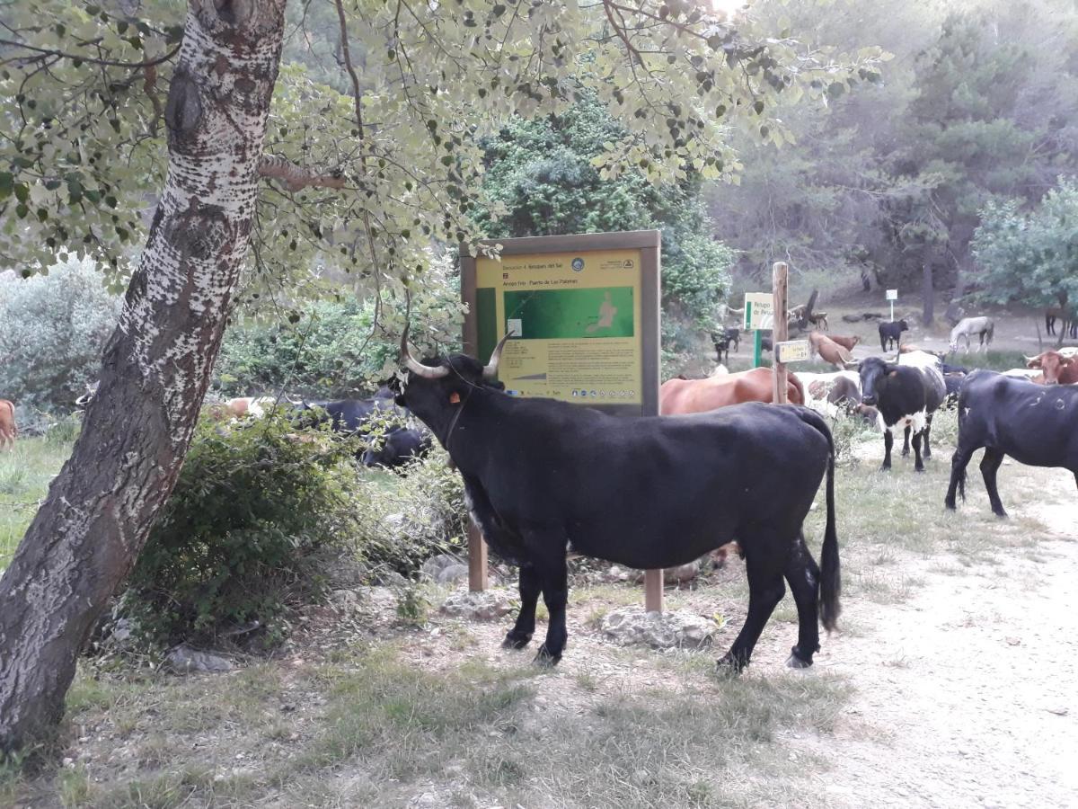 Apartamentos El Risquillo Arroyo Frio Kültér fotó